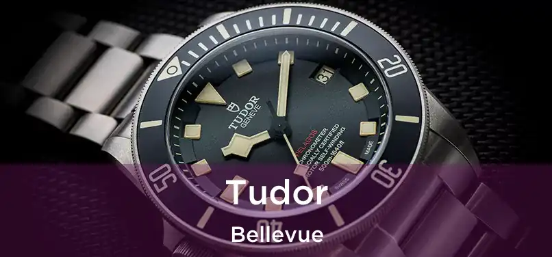 Tudor Bellevue