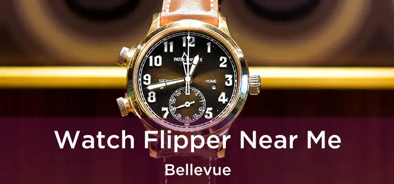 Watch Flipper Near Me Bellevue